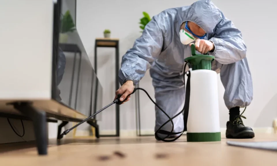 Handle Yellow Jackets