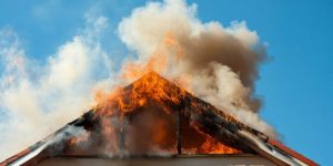 360_F_1783563078_lxWThyKaURG3b5fBJt5wis6XlqrdHwXX